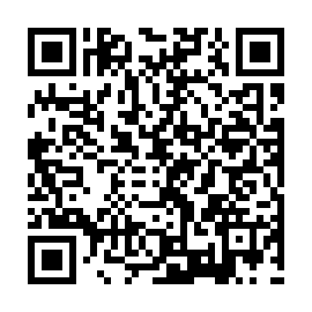 QR code for XSE1253