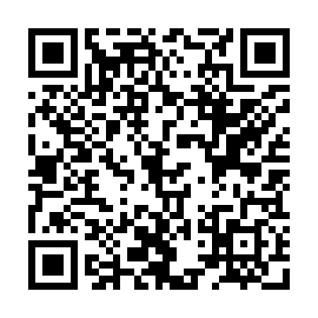 QR code for XTO9387