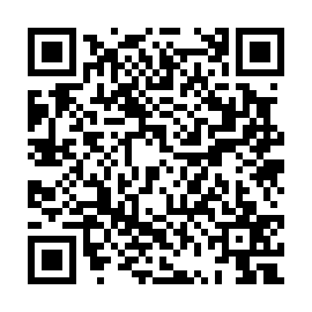 QR code for XVK0377