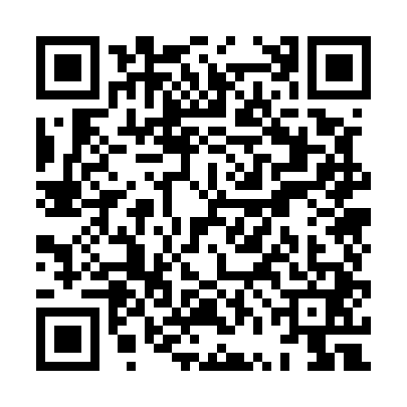 QR code for XVO5413