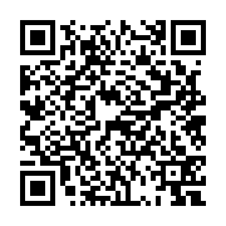 QR code for XVR1333