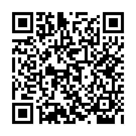 QR code for XVR2639