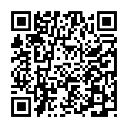 QR code for XYU0595