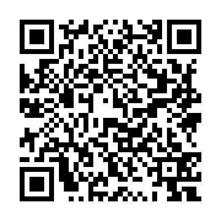 QR code for XZI9333