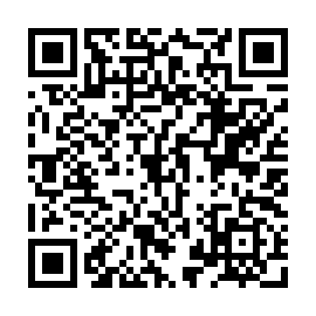 QR code for XZY4993