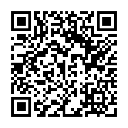 QR code for YAG3063
