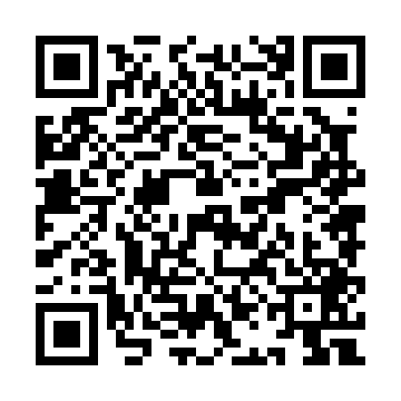QR code for YAN0496