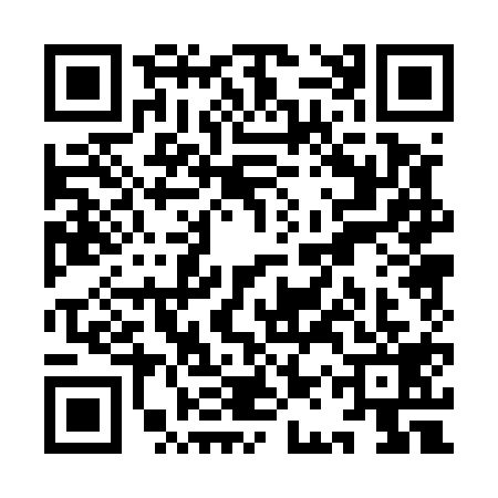QR code for YAP5197