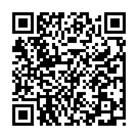 QR code for YAV9317