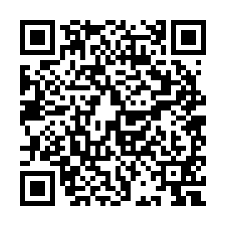 QR code for YBB2919