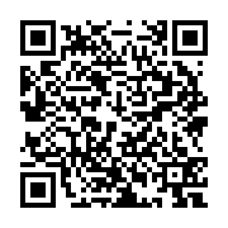 QR code for YEI2333