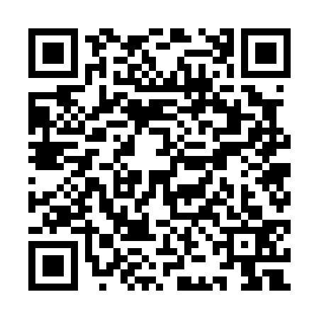 QR code for YJG0333