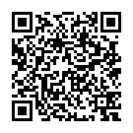 QR code for YJQ0390