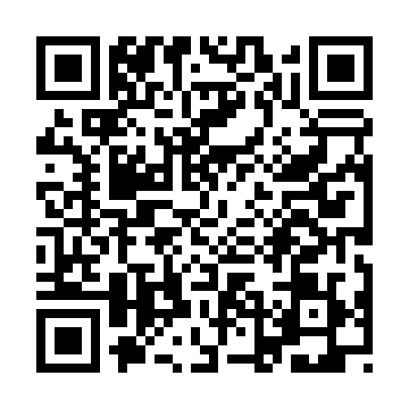 QR code for YLH0294