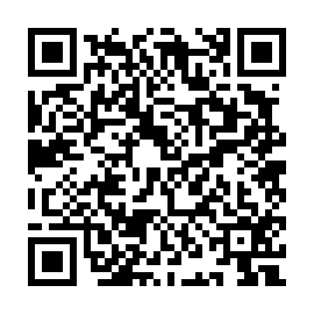 QR code for YNB4163