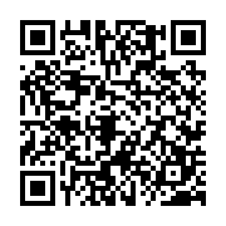 QR code for YPN2063