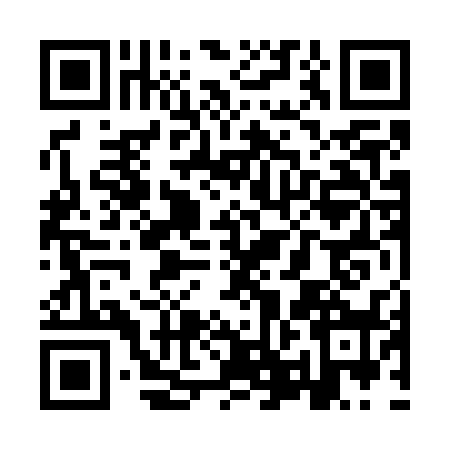 QR code for YPN7381