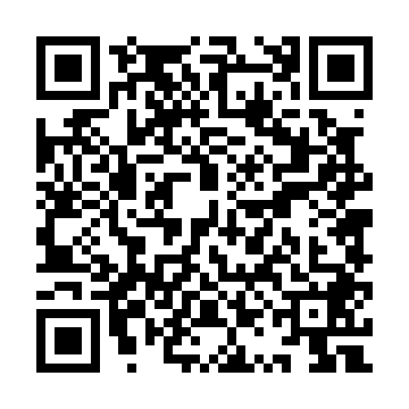QR code for YQD0489