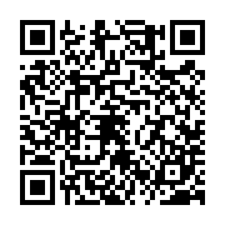 QR code for YRV4871