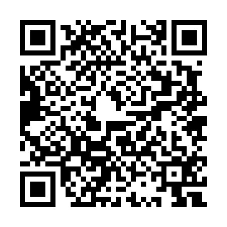 QR code for YSJ4161