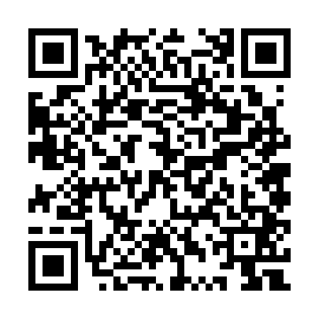 QR code for YTV3413