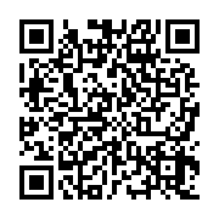 QR code for YTX9381