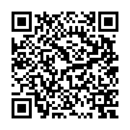 QR code for YVS4767