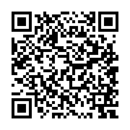 QR code for YVT3411