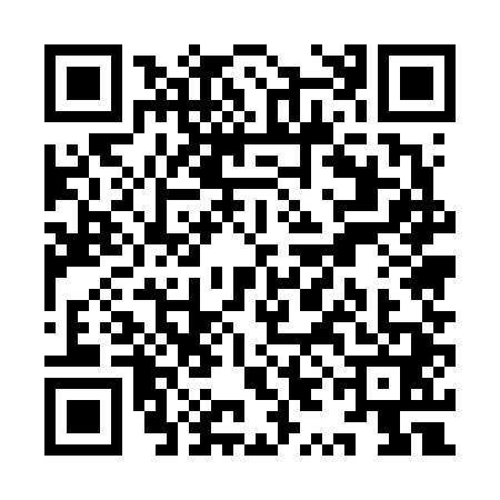 QR code for YYE6411