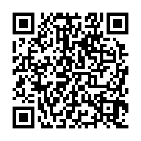 QR code for YYP3802