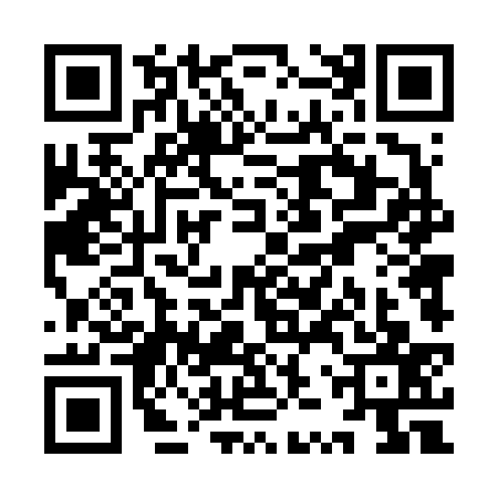 QR code for YZT6370