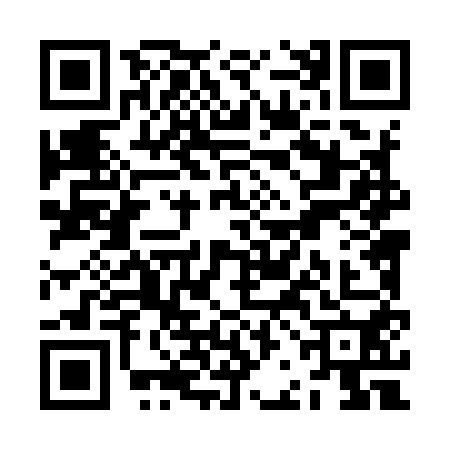 QR code for ZBL9508