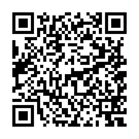 QR code for ZCG9999