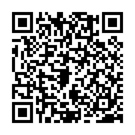 QR code for ZDC0370
