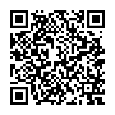 QR code for ZDQ3838
