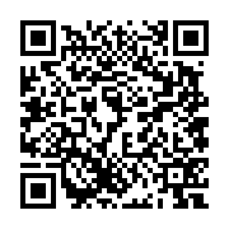 QR code for ZFF4767