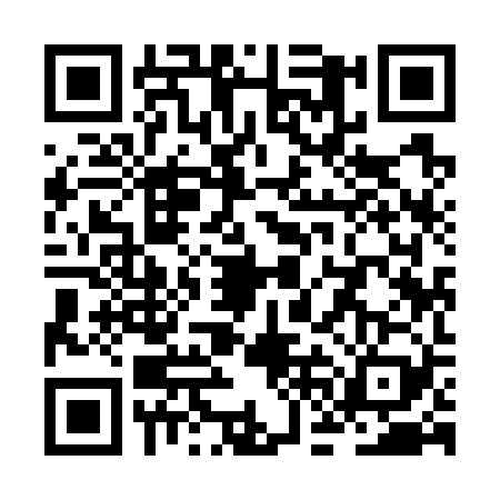 QR code for ZFI7293