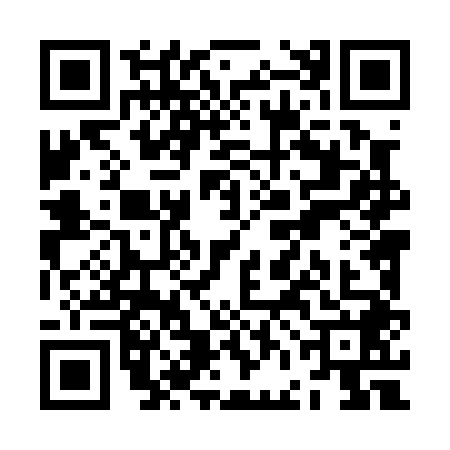 QR code for ZFL0481
