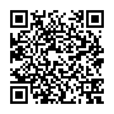 QR code for ZFY2381