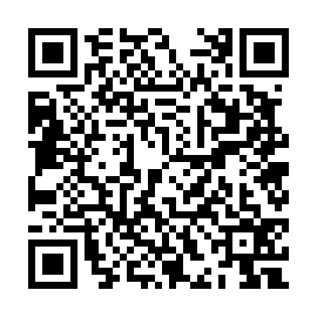 QR code for ZHG4369