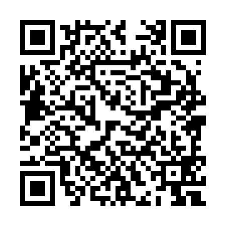QR code for ZHH2990