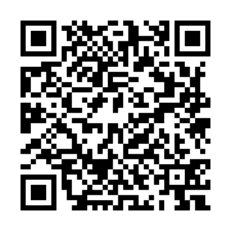 QR code for ZIK9313