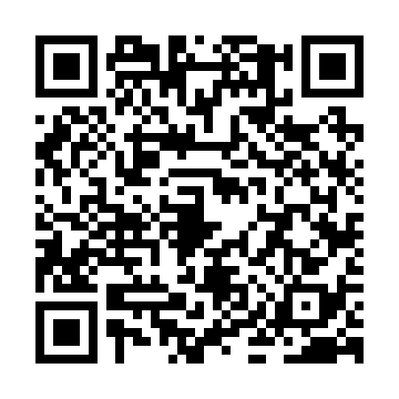 QR code for ZIV2383
