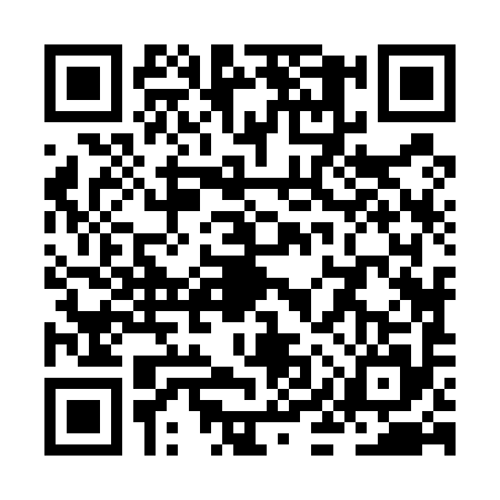 QR code for ZIZ5951