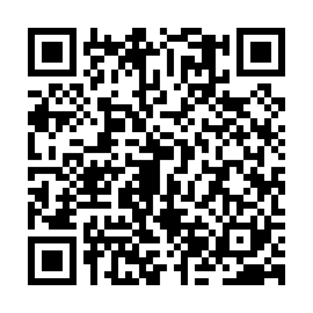 QR code for ZJI0213