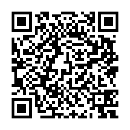 QR code for ZJI4387