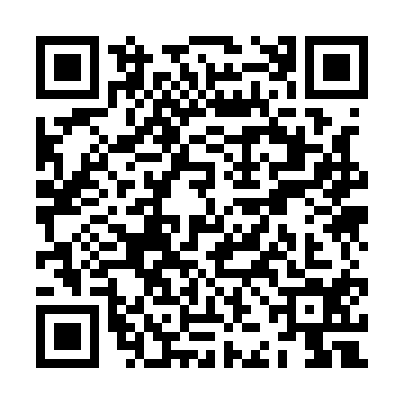 QR code for ZJK1141