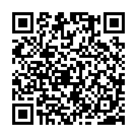 QR code for ZJX2956