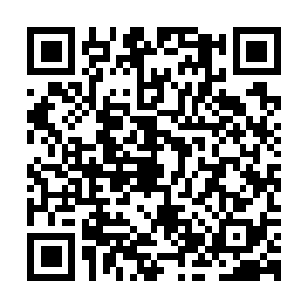 QR code for ZJY7386