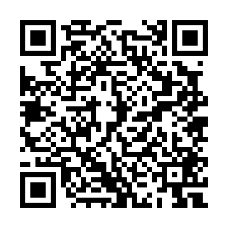 QR code for ZKJ0493